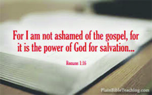 Bible Not Ashamed Scripture