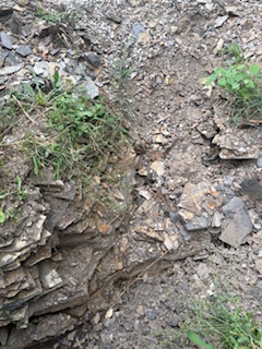 Pit at Scaffold Cane